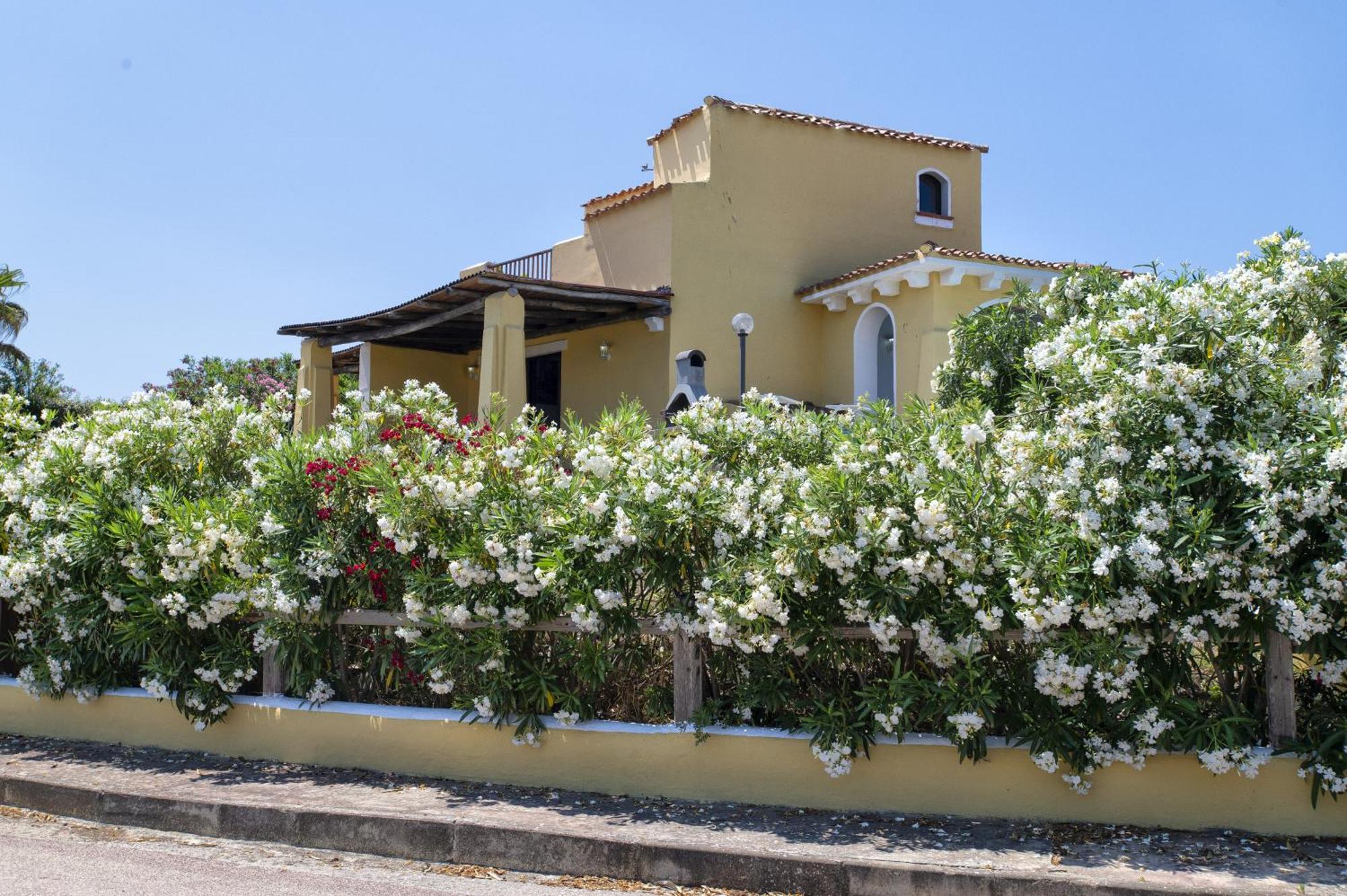Villa Azzurra Stintino Eksteriør billede